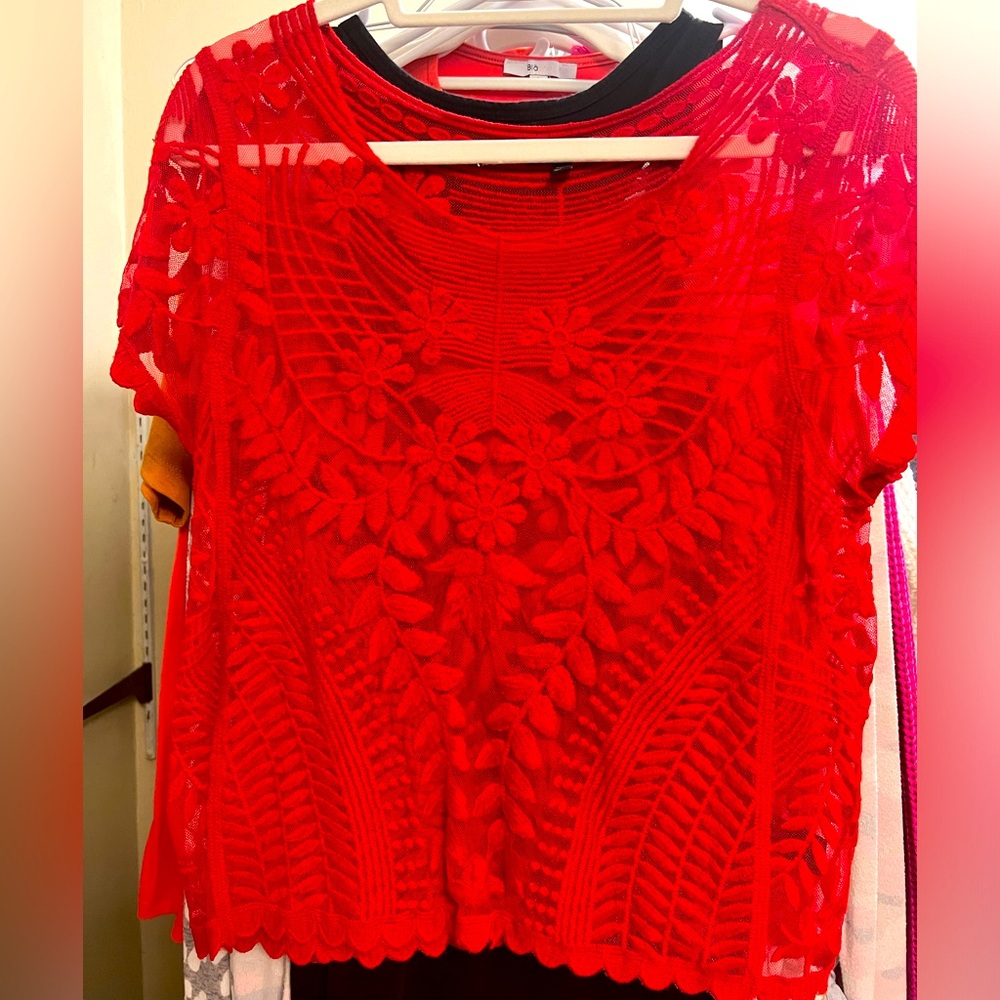 Express Embroidered Lace Top